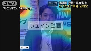 偽動画を見抜く最新技術 AIで分析“真偽”を判定【フェイクの波紋】(2025年6月18日)